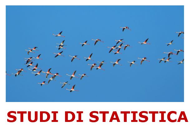LOGO STATISTICA