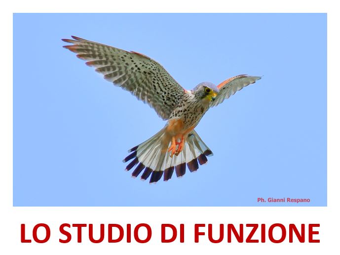 LOGO STUDIO DI FUNZIONE